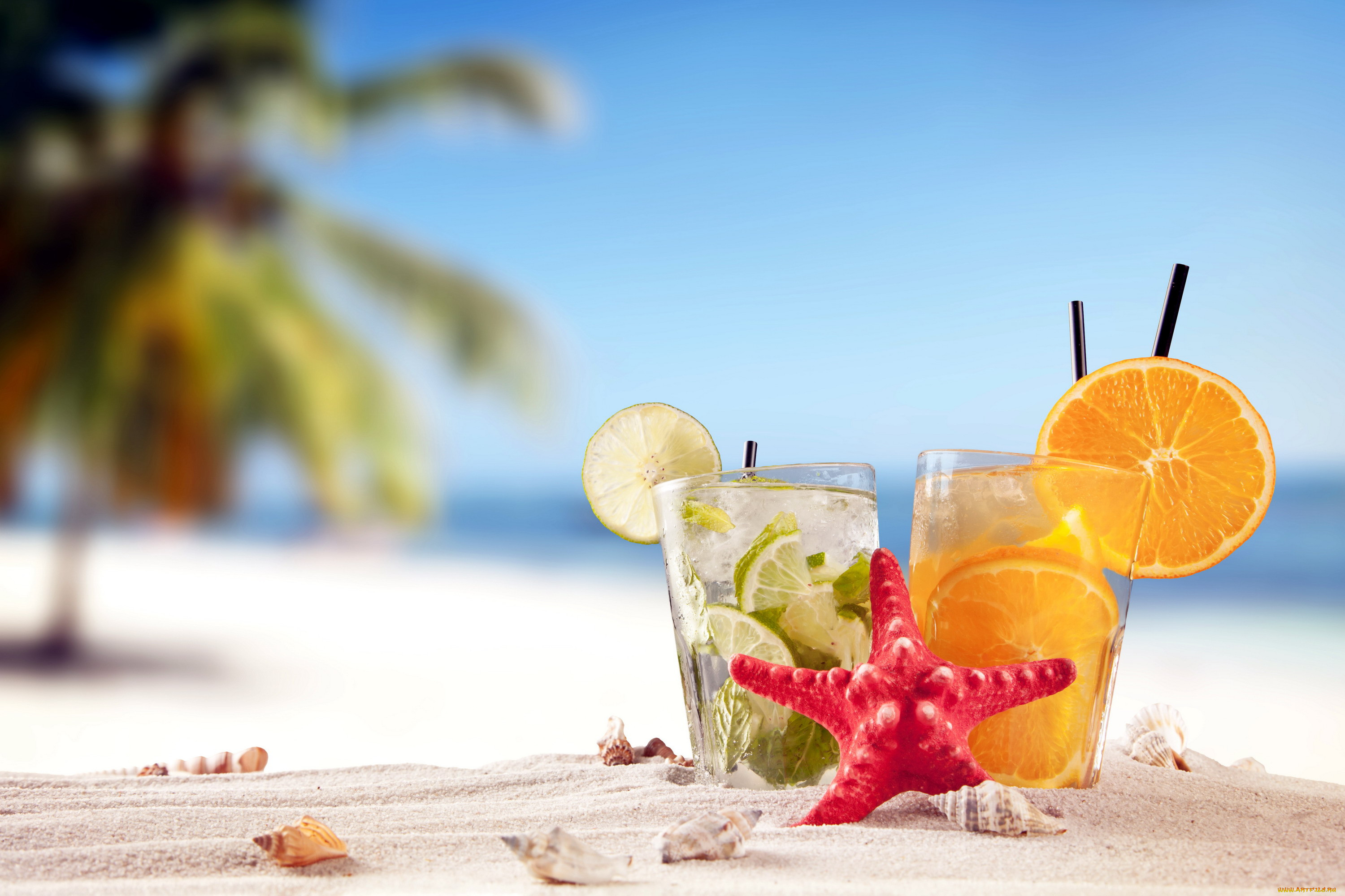 , ,  , , summer, tropical, vacation, beach, drink, , , , , , , , , 
